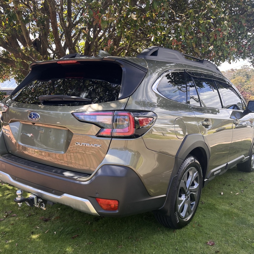Posh Wash detailing result