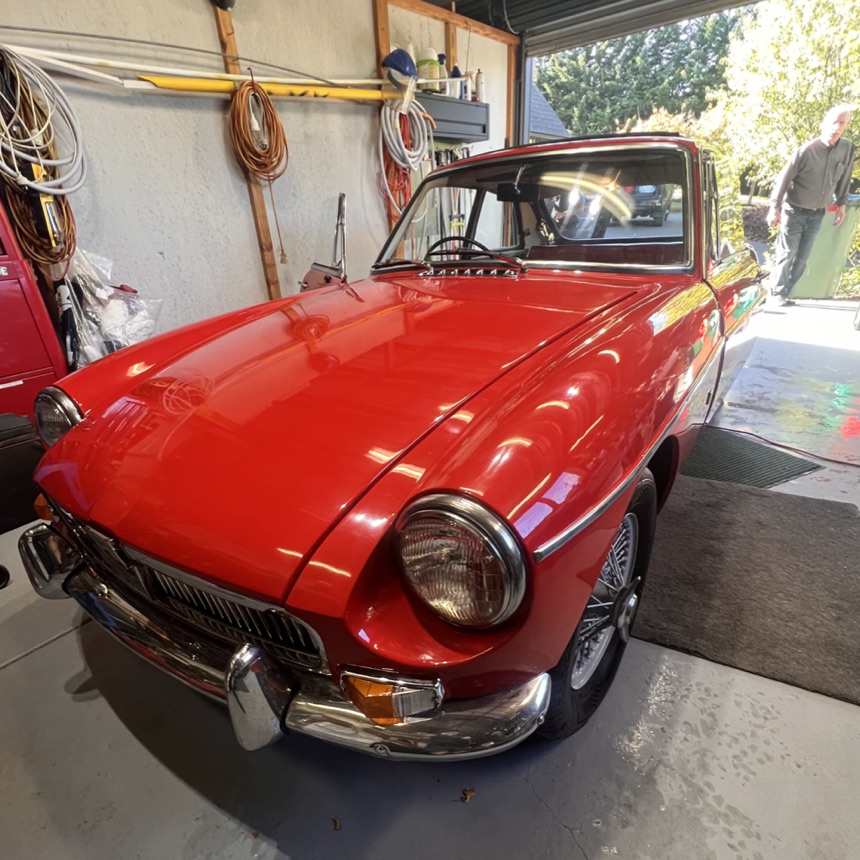 Posh Wash detailing result